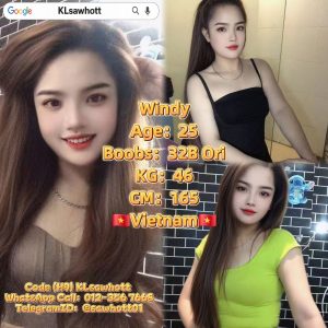 🇻🇳 Windy